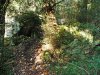 P1000272md.jpg