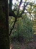 P1000292md.jpg