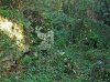 P1000278md.jpg