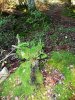 P1000288md.jpg