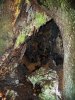 P1000281md.jpg