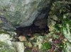 P1000283md.jpg
