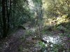P1000290md.jpg