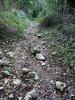 P1000295md.jpg