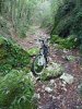 P1000303md.jpg