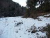 P1000312md.jpg