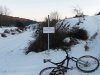 P1000315md.jpg