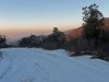 P1000316md.jpg