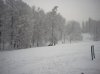 20090106_Parco_Lambro_foto02.jpg