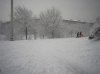 20090106_Parco_Lambro_foto03.jpg