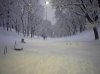 20090106_Parco_Lambro_foto04.jpg