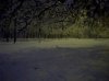 20090106_Parco_Lambro_foto08.jpg