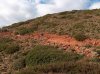Hpim0791Singletrek.jpg