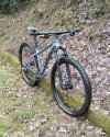 MTB Trek x-Caliber 9 2019 taglia M (17.5)