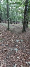 IMG20220901174332.jpg