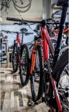 Mtb Lee Cougan Innova Rampage