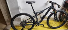 Orbea oiz