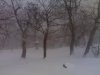 29122008468.jpg