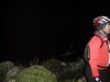 DSC01010.jpg