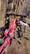 Canyon Neuron 7 WMN taglia XS