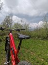 IMG20210509121521.jpg