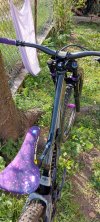 Devinci Wilson 29