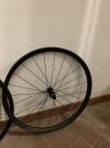 IMG_1625.jpeg