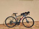 Trek Chekpoint AL 4