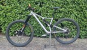 Stumpjumper Evo Custom