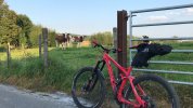 Enduro - All Mountain - Carver Drift 701 - Fox/Formula/SLX