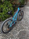 IMG_7956.jpeg