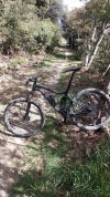 TORPADO MATADOR tg. L