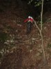 DSC00184.jpg