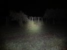 IMG_4757.jpeg