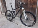 Canyon Nerve AM8 2011