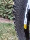 IMG20230320174254.jpg