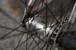 bmx (2).jpg