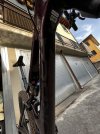 IMG_6264.jpeg
