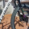 Olimpya f1