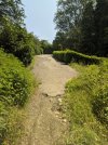 PXL_20230617_124645964.jpg