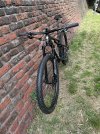 IMG_0977.jpeg