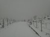 gulino innevato 13-02-2009 006.jpg