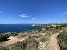 IMG_9272.jpeg