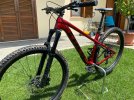 Trek Roscoe 9 2023