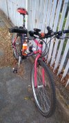 IMG_20230720_200954240.jpg