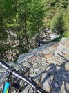 20230729_084554.jpg