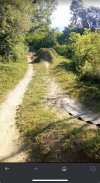 IMG_6372.jpeg