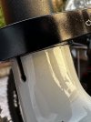 IMG_1641.jpeg