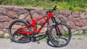Trek remedy 9
