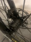 IMG_1861.jpeg